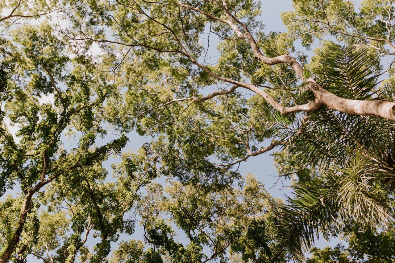 Fazenda Hotel Bem Ecologico Planaltina  Buitenkant foto